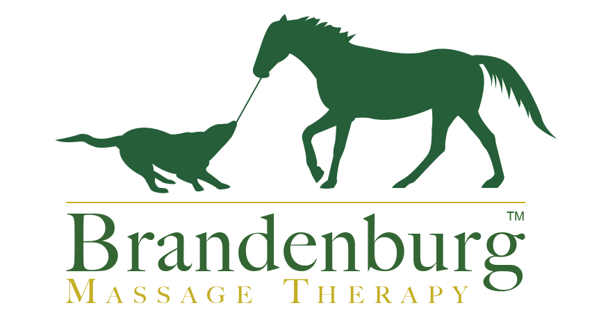 Brandenburg Equine  Canine